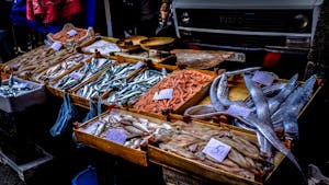 Colorful seafood display at an outdoor market featuring fresh fish, shrimp, and prawns.